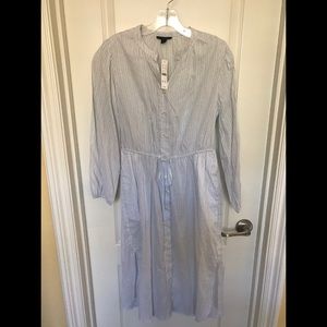 Blue and White Striped J. Crew Dress NWT